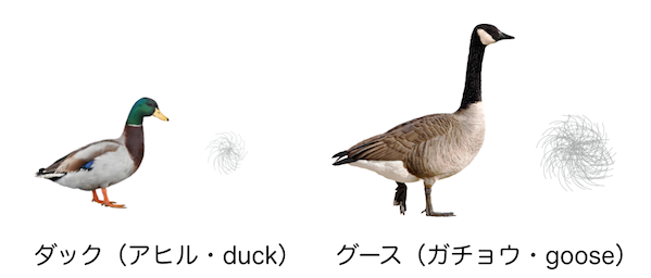 エクスパートが教える 寝袋 シュラフ ダウンと化学繊維の違い どっちがいいの